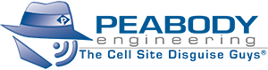 The Cell Site Disguise Guys®